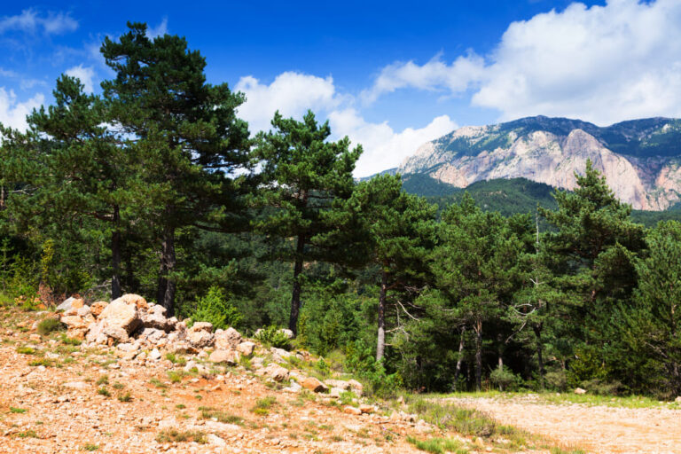 Parco della Majella: guida ai percorsi